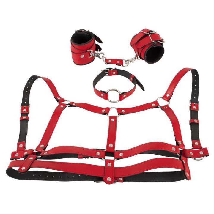 Priser på Bad Kitty Harness Sæt